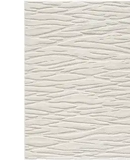 Moderné koberce Koberec Alba 1,6/2,3 FR2520 krémový