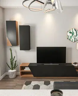 Konferenčné stolíky Televízny stolík so skrinkou Zebra Black and Teak
