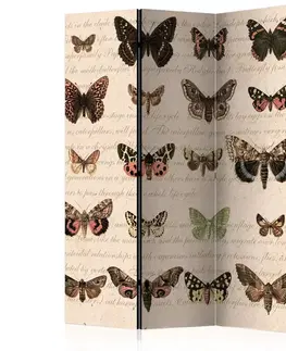 Paravány Paraván Retro Style: Butterflies Dekorhome