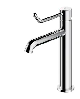 Kúpeľňové batérie OMNIRES - Y [Inclusive Design] umývadlová batéria, 23 cm (hlava 25 mm), lesklý chróm Y1212CID-CR