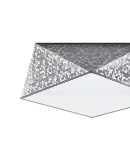 Svietidlá  Stropné svietidlo HEXA 2xE27/60W/230V strieborná SL.0691