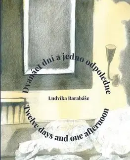 Eseje, úvahy, štúdie Dvanáct dní a jedno odpoledne / Twelve days and one afternoon - Ludvík Barabáš
