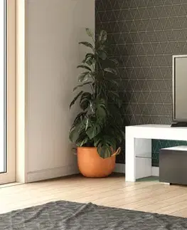 TV stolíky MONTE televízny stolík, biely lesk / čierny lesk