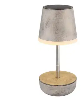 LED osvetlenie Globo 36638SA - LED Solárna lampa 10xLED/0,06W/3V IP44 šedá 36638SA