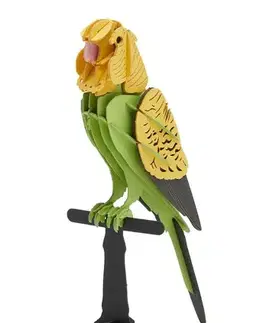 3D puzzle 3D Creative Farebné 3D puzzle Andulka