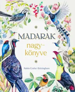 Spoznávame prírodu Madarak nagykönyve - Robin Crofut-Brittingham