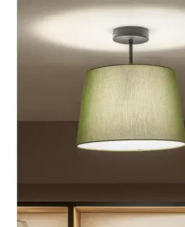 Svietidlá BRILAGI - LED prisadený luster CERIA 1xE27/60W/230V pr. 30 cm čierna/zelená BG3989+EG781039
