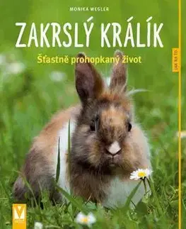 Zvieratá, chovateľstvo - ostatné Zakrslý králík - Monika Weglerová