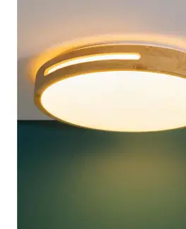 Svietidlá Brilliant - LED Stmievateľné stropné svietidlo WOODBURY LED/24W/230V pr. 39 cm G99496/75