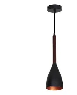 Svietidlá  Luster na lanku MUZA 1xE27/60W/230V 9159