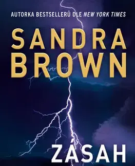 Detektívky, trilery, horory Zásah odnikud - Sandra Brown