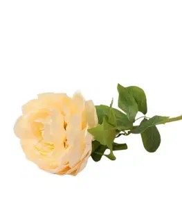 Záhradné dekorácie Iskerník 60cm krémová A2010583