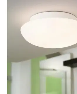 Svietidlá Eglo 81636 - Stropné svietidlo ELLA 1xE27/60W/230V 81636