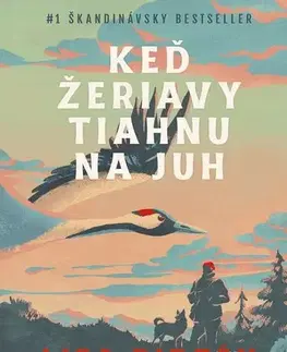 Svetová beletria Keď žeriavy tiahnu na juh - Liza Rizén,Jana Obertová