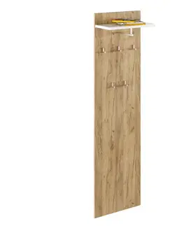 Predsieňové steny KONDELA Rioma Typ 19 vešiakový panel dub artisan / biela