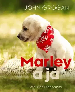 Biografie - ostatné Tympanum Marley a já