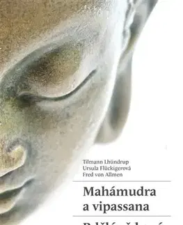 Buddhizmus Mahámudra a vipassana - Bdělé vědomí - Kolektív autorov