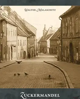 Slovenské a české dejiny Zuckermandel mojej mladosti, 3. vydanie - Walter Malaschitz