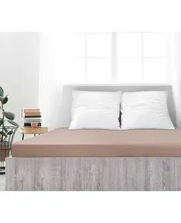 Plachty 4Home jersey prestieradlo Ideál orechová, 100 x 200 cm