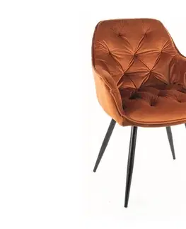 Stoličky Jedálenské kreslo CHERRY VELVET Signal