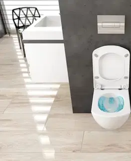 Doplnky do kúpeľne DEANTE - Anemon biela - Bidet, nástenný CDZ_6BPW