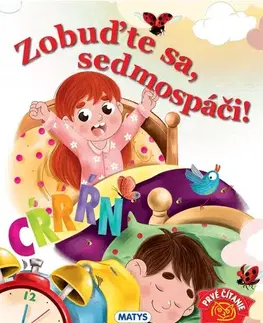 Rozprávky Zobuďte sa, sedmospáči! - Jana Šrámková,Jana Šimulčíková,Michaela Šefranková