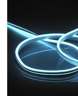 LED osvetlenie  LED Pásik NEON 5 m LED/27W/12V IP65 modrá 315045