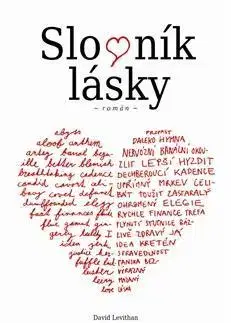 Romantická beletria Slovník lásky - David Levithan