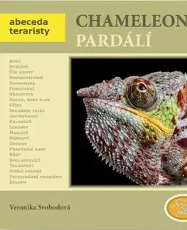 Terárium Chameleon pardálí - Veronika Svobodová