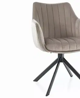 Jedálenské stoličky a kreslá Stolička Azalia Velvet