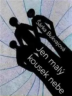 Česká beletria Jen malý kousek nebe - Šárka Bukvajová