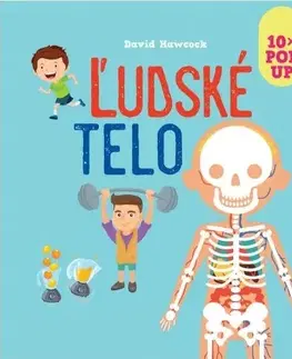 Leporelá, krabičky, puzzle knihy 10x POP UP: Ľudské telo - David Hawcock