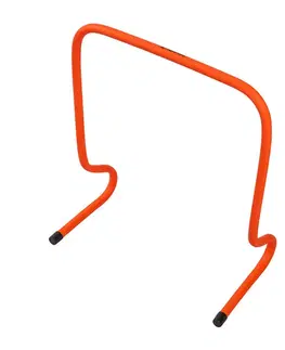 Ostatné fitness náradie Tréningová prekážka inSPORTline Dexteros 50 cm