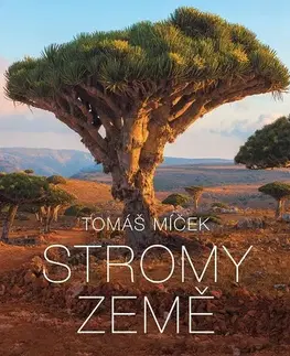 Fotografia Stromy Země - Tomáš Míček,Petr Hejný
