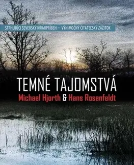 Detektívky, trilery, horory Temné tajomstvá - Hans Rosenfeldt,Michael Hjorth
