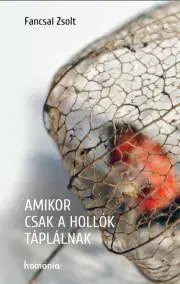 Kresťanstvo Amikor csak a hollók táplálnak - Fancsal Zsolt
