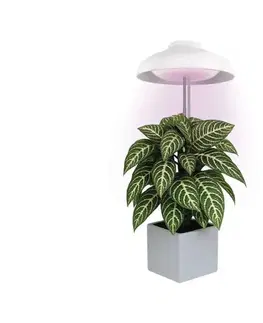 Lampy  LED interiérové svietidlo pre pestovanie rastlín GROW LED/5W/5V Z7901