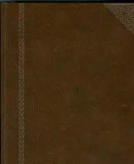 Literárna veda, jazykoveda Ottův slovník naučný XIV. - Kolektív autorov