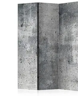 Paravány Paraván Fresh Concrete Dekorhome