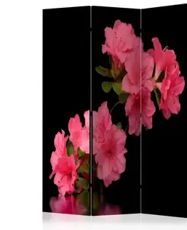 Paravány Paraván Azalea in Black Dekorhome