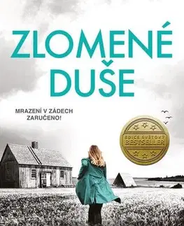 Detektívky, trilery, horory Zlomené duše - Patricia Gibney