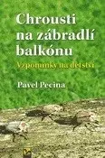 Hmyz Chrousti na zábradlí balkónu - Pavel Pecina