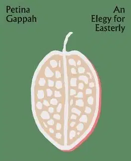 Cudzojazyčná literatúra An Elegy for Easterly - Faber Stories - Petina Gappah