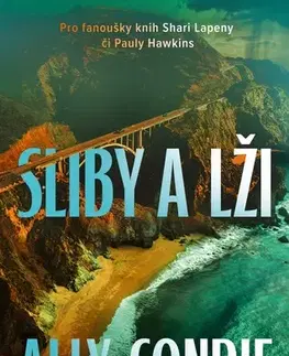 Detektívky, trilery, horory Sliby a lži - Ally Condie
