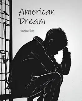Motivačná literatúra - ostatné American Dream - Žák Vojtěch