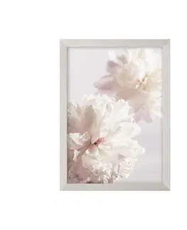Obrazy Obraz Peony II 21x30cm silver