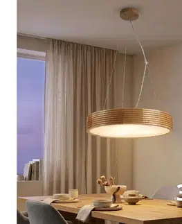 Svietidlá BRILAGI - LED luster na lanku CARVALHO MODERN 3xE27/60W/230V dub pr. 47,5 cm 8590828039365