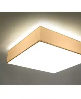 Vnútorné osvetlenie Stropná Lampa Montana 45 WHITE A-14