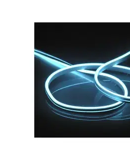 LED osvetlenie  LED Pásik NEON 5m LED/40W/24V modrá IP65 318022