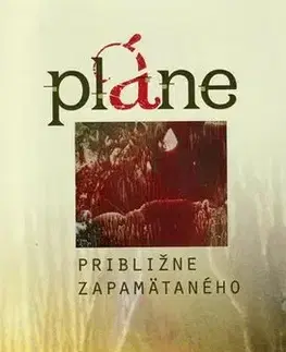 Eseje, úvahy, štúdie Pláne približne zapamätaného - Etela Farkašová,Ingrid Skalická